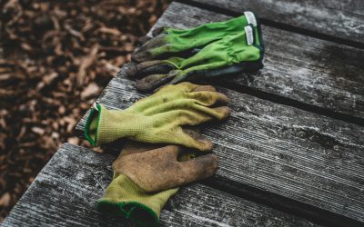 Parkslide på fastigheten – När kan det utgöra ett dolt fel?